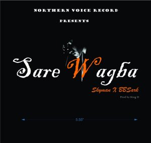 Music: Skyman x Bbshark- Sare Wagba IMG 20181231 WA0146