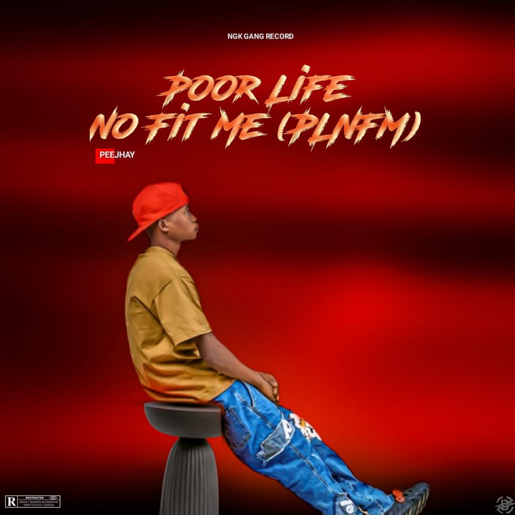 MUSIC: Peejhay - Poor Life No Fit Me IMG 20241111 WA0381